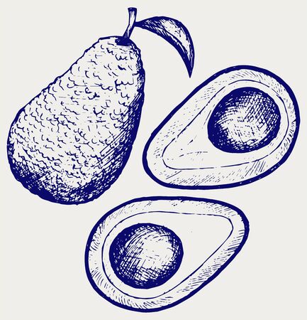 Fresh avocado fruit. Doodle styleのイラスト素材