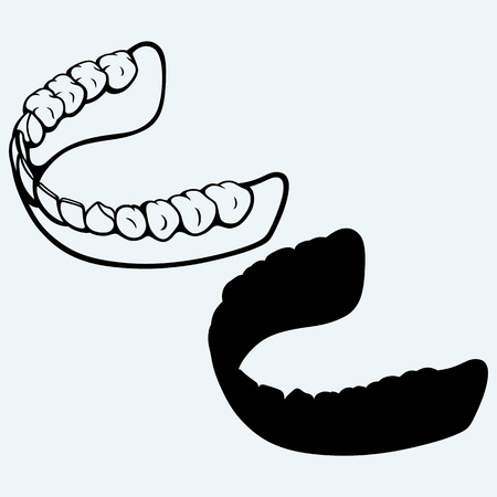 Human jaw. Isolated on blue backgroundのイラスト素材