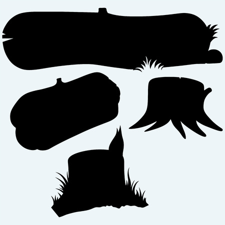 Set cross section of tree stump. Isolated on blue background. のイラスト素材