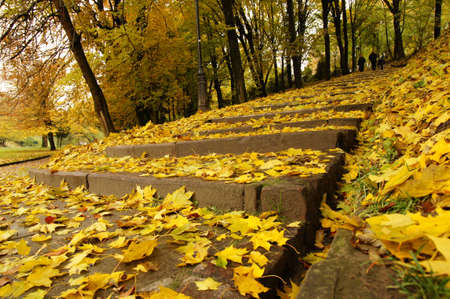 Pathway in the autumn parkの写真素材