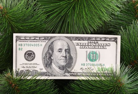 Dollar banknote on green pine. Closeup.の写真素材