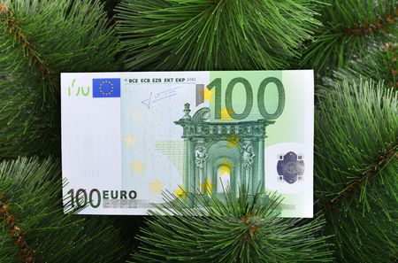 Euro banknote on green pine. Closeupの写真素材