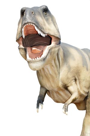 Aggressive dinosaur with open mouth. Isolated.の写真素材