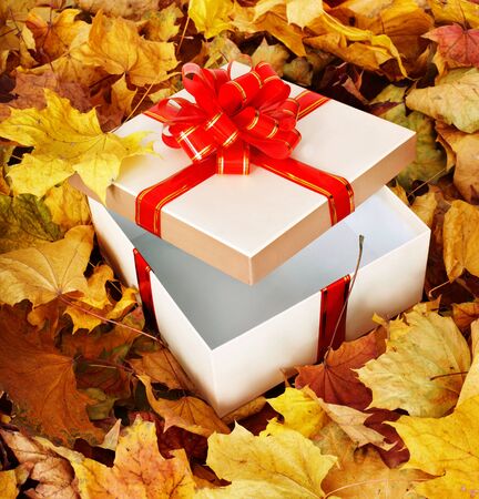 Gift box in fall foliage. Autumn holiday.の写真素材