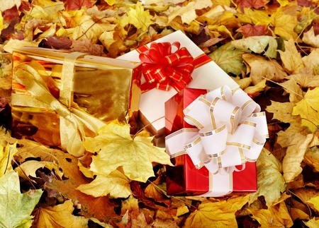 Autumn still life with group gift box. Outdoor.の写真素材