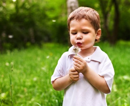 Little boy blowing dandelion. Summer outdoor.の写真素材