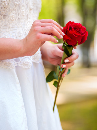 Bride holding red rose flower at summer outdoor.の写真素材