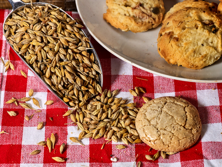 Oatmeal cookies with husk whole oats in scoop on red kitchen gingham checkered cotton fabric on table in farm-style.の写真素材