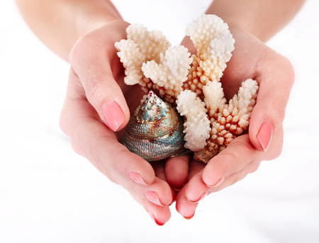 Seashell and coral in hands isolated concept holiday and vacation.の写真素材
