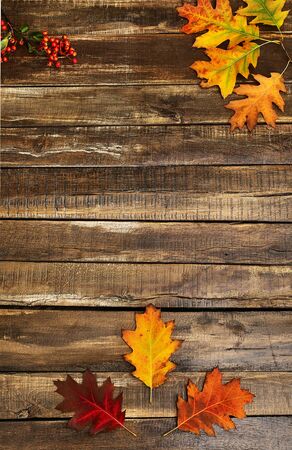 Autumn maple leaves on top view wooden table. Vertical frame with cornerの写真素材