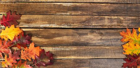 Autumn maple leaves on top view wooden table. Horizontal frame with cornerの写真素材