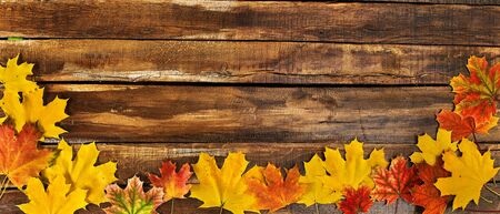 Autumn maple leaves on top view wooden table. Horizontal frame with foliage on bottom edgeの写真素材