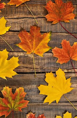 Autumn maple leaves background on top view wooden table vertical frame.の写真素材