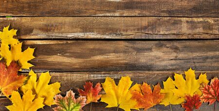 Autumn maple leaves on top view wooden boards. Horizontal frame with leafage on bottomの写真素材