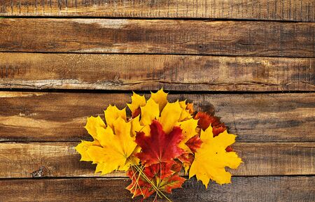 Autumn maple leaves bouquet on wooden table horizontal frame with copy space.の写真素材