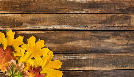 Autumn maple leaves on top view wooden table. Horizontal frame with lower left cornerの写真素材