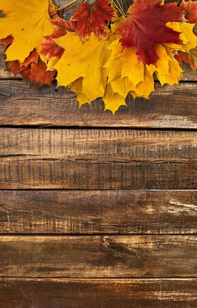 Autumn maple leaves on top view wooden table. Vertical frame with top side foliage and copy space.の写真素材