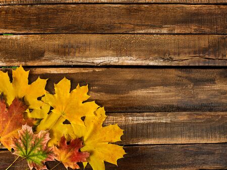 Autumn maple leaves on wooden table with copy space. Top view of square frame with lower left cornerの写真素材