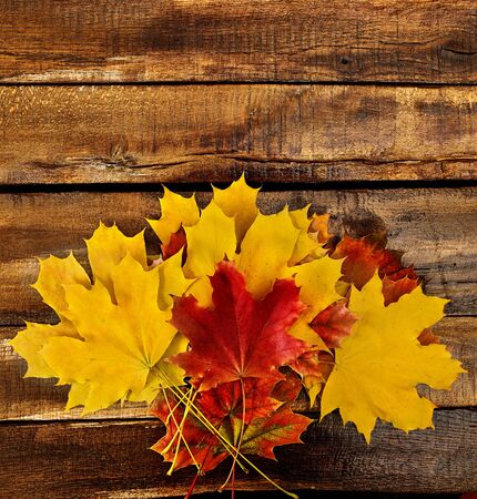 Autumn maple leaves bouquet on top view wooden boards. Vertical frame with bottom side foliage and copy space.の写真素材