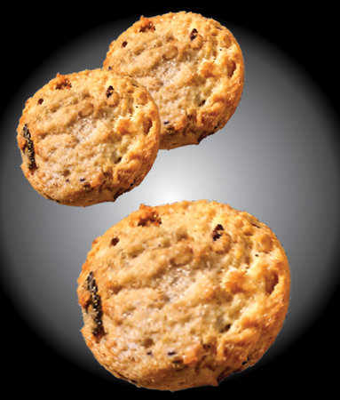Cookies vector illustration. Homemade chocolate chip on sweet food.の写真素材