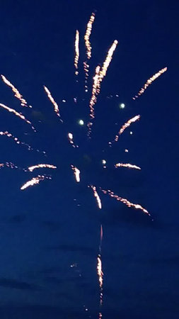 Fireworks in the night sky. Fireworks in the night sky.の写真素材