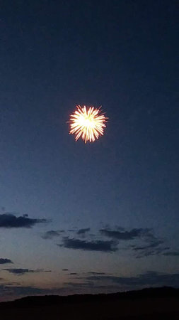 Fireworks in the night sky. Fireworks in the night sky.の写真素材
