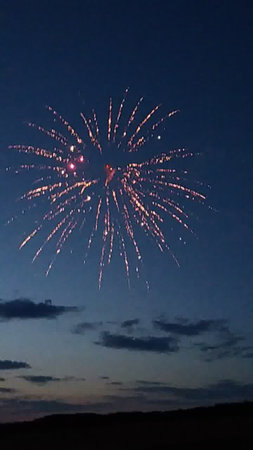Fireworks in the night sky. Beautiful fireworks in the night sky.の写真素材