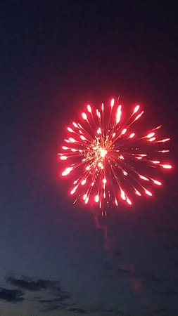 Fireworks in the night sky. Red fireworks in the night sky.の写真素材