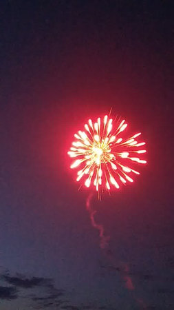 Fireworks in the night sky. Fireworks in the night skyの写真素材