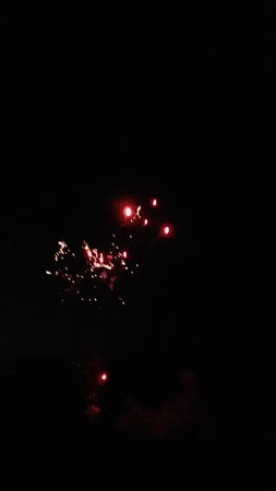 Fireworks in the night sky. Fireworks in the night sky.の写真素材