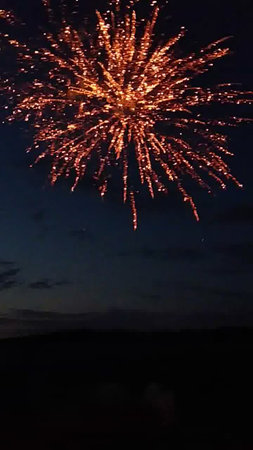 Fireworks in the night sky. Firework in the night sky.の写真素材