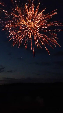 Fireworks in the night sky. Fireworks in the night sky.の写真素材