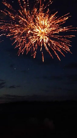 Fireworks in the night sky. Beautiful fireworks in the night sky.の写真素材