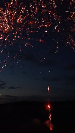 Fireworks in the night sky. Fireworks in the night sky.の写真素材