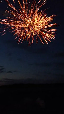 Fireworks in the night sky. Fireworks in the night sky.の写真素材