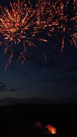 Fireworks in the night sky. Firework in the night sky.の写真素材