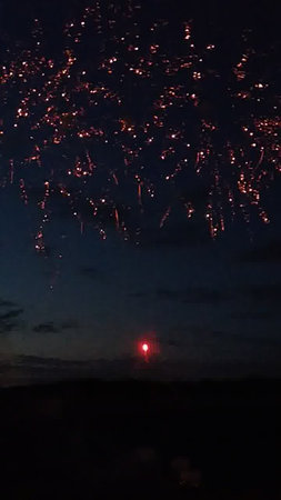 Fireworks in the night sky. Red and pink firework.の写真素材