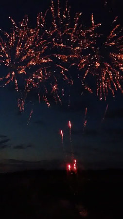 Fireworks in the night sky. Fireworks in the night sky.の写真素材