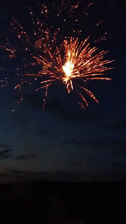 Beautiful fireworks in the night sky. Fireworks in the night sky.の写真素材