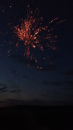 Fireworks in the night sky. Fireworks in the night sky.の写真素材