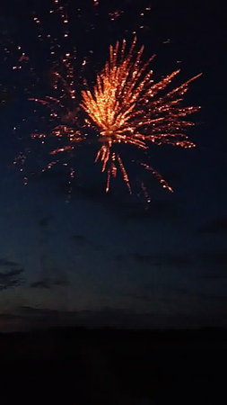 fireworks in the night sky. Beautiful fireworks in the night skyの写真素材