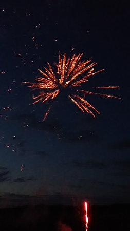 Fireworks in the night sky. Firework in the night sky.の写真素材