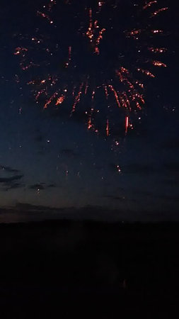 Fireworks in the night sky. Firework in the night sky.の写真素材