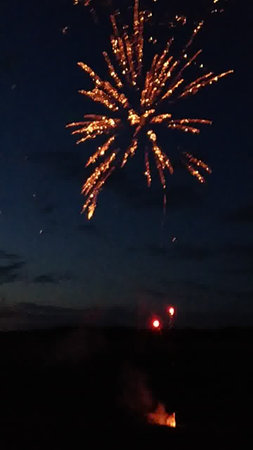 Fireworks in the night sky. Fireworks in the night sky.の写真素材