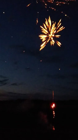 Fireworks in the night sky. Fireworks in the night sky.の写真素材