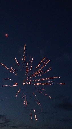 fireworks in the night sky, many fireworks in the night skyの写真素材