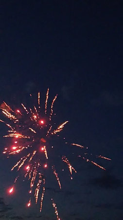 Fireworks in the night sky. Fireworks in the night sky.の写真素材