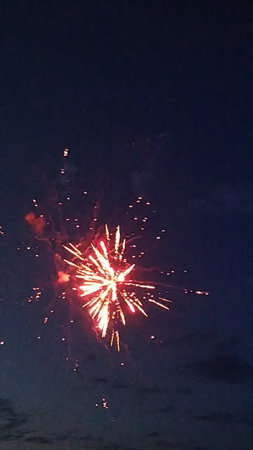 Fireworks in the night sky. New Year and Christmas celebration.の写真素材