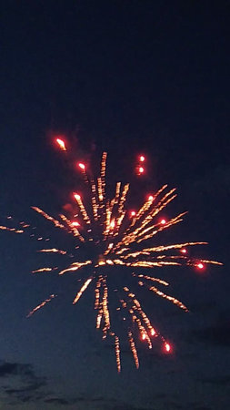 Fireworks in the night sky. Fireworks in the night sky.の写真素材