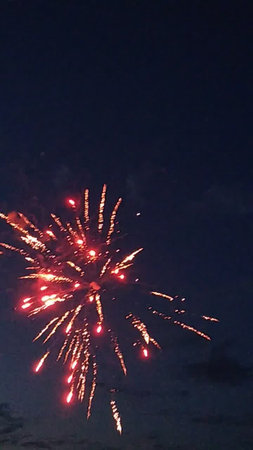Fireworks in the night sky. Firework in the night sky.の写真素材